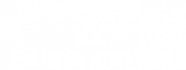 Felipe Motta